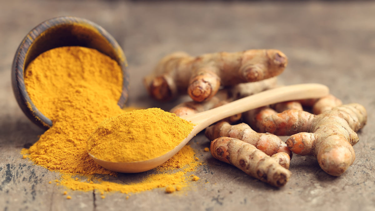 The Benefits of Turmeric (and Curcumin) for Dogs The Conscious Pet